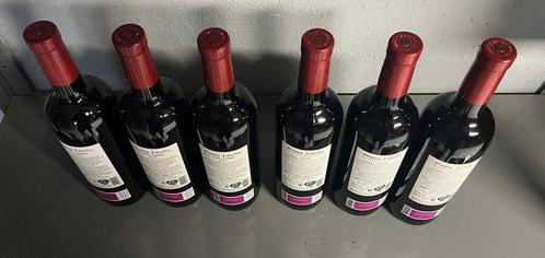 Pina Fidelis: Vendimia Seleccionada 2020 x3 & Roble Español, Verzamelen, Wijnen