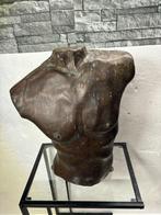Buste, Prachtige Bronzen Buste – Gedetailleerd Borstebeeld, Antiek en Kunst