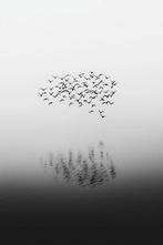 Jorge Omeñaca - A cucu flight