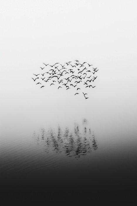 Jorge Omeñaca - A cucu flight, Antiek en Kunst, Kunst | Designobjecten