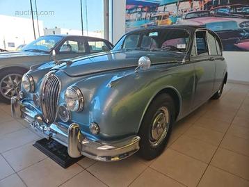 Jaguar beschikbaar voor biedingen