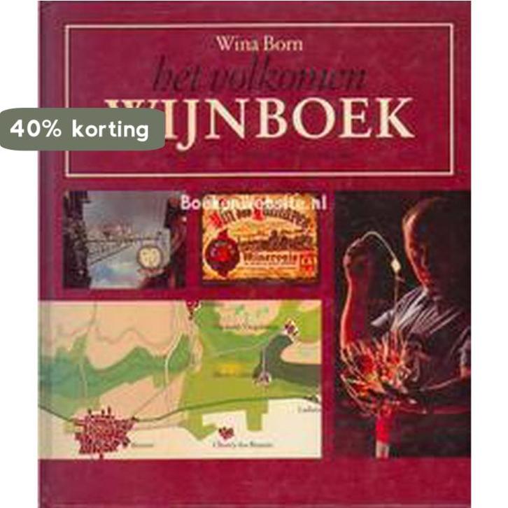 Irische Kunst aus drei Jahrtausenden 9789062010066 Born, Boeken, Overige Boeken, Gelezen, Verzenden