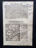 Erasmus portrait by Hans Rudolf Manuel after Holbein from, Antiek en Kunst