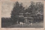 DRIEBERGEN - Hertenkamp, Verzenden, Gelopen