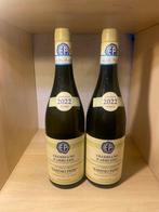 2022 Emidio Pepe Trebbiano d’Abruzzo - Abruzzo - 2 Flessen, Nieuw