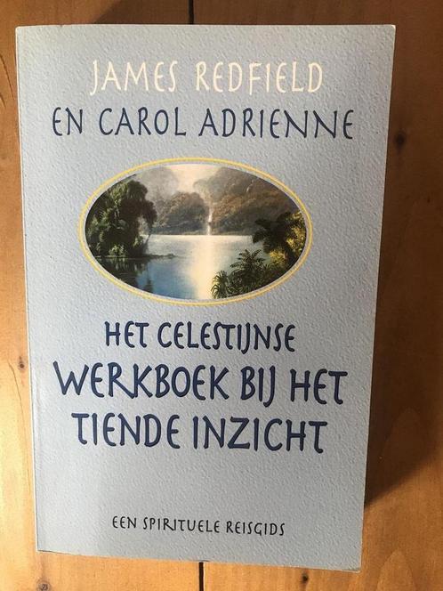 Het Celestijnse werkboek bij Het tiende inzicht, Boeken, Esoterie en Spiritualiteit, Gelezen, Verzenden
