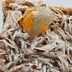 WULFENITE ingelijst in CERUSSITE op BARITE omgeven door