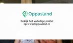 Rianne zoekt een oppas in Dordrecht voor 2 kinderen.