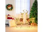 Coast 2-Delige Verlichte Rendier Kerstdecoratie - 200 LED -, Verzenden, Nieuw