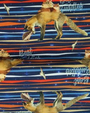 Tricot/Jersey Best Buddies, Hobby en Vrije tijd, Stoffen en Lappen, Overige kleuren, Nieuw