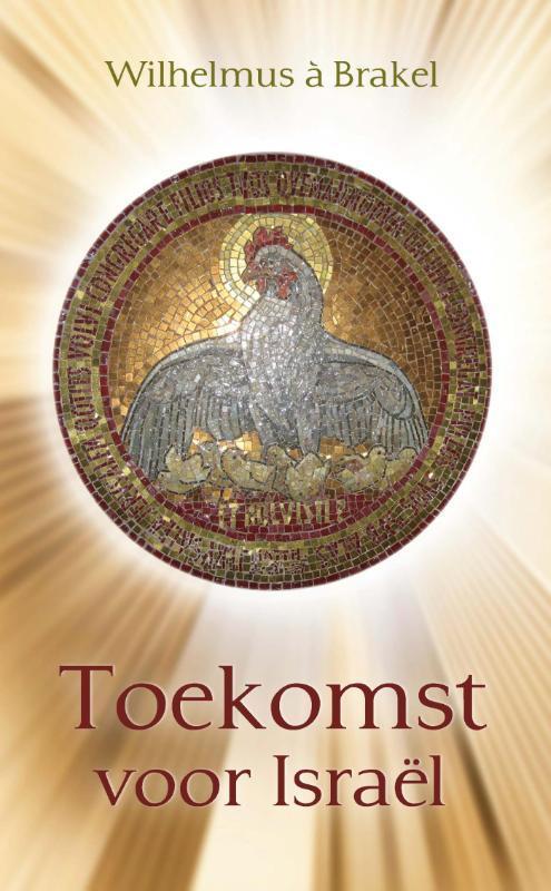 Toekomst voor Israel 9789402902655 C.J. Meeuse, Boeken, Godsdienst en Theologie, Zo goed als nieuw, Verzenden