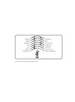 Authentiek leiderschap  cd 9789462200401, Boeken, Verzenden, Zo goed als nieuw