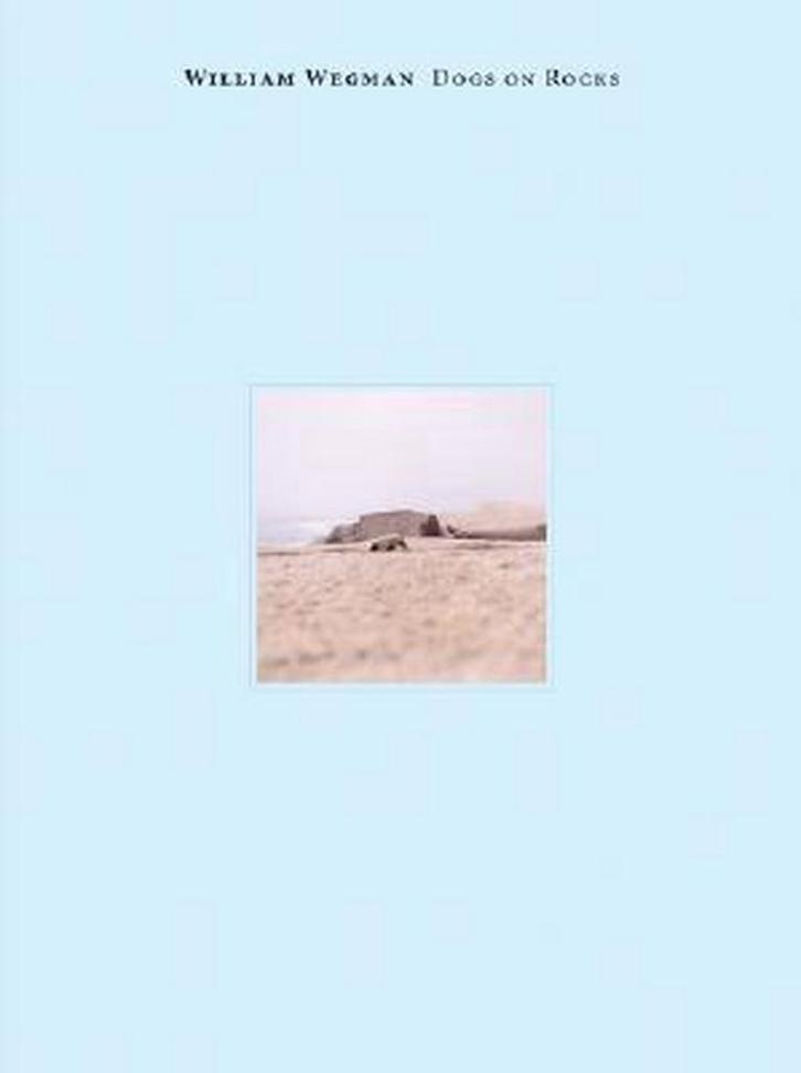William Wegman 9780979764202 Matt Leines, Boeken, Taal | Engels, Gelezen, Verzenden
