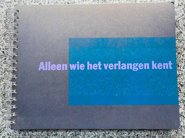 Alleen wie het verlangen kent – Johan Beuker, Boeken, Kunst en Cultuur | Beeldend, Gelezen, Schilder- en Tekenkunst, Verzenden