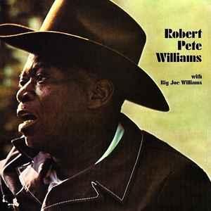 lp nieuw - Robert Pete Williams - Robert Pete Williams Wi..., Cd's en Dvd's, Vinyl | Jazz en Blues, Zo goed als nieuw, Verzenden