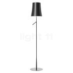 Foscarini Birdie Terra, grafiet (Staande lampen), Huis en Inrichting, Lampen | Vloerlampen, Verzenden, Nieuw