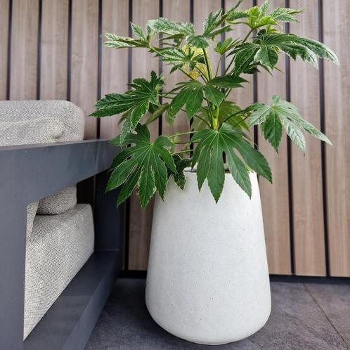 Atlas M 37x54 cm White, Tuin en Terras, Bloembakken en Plantenbakken, Nieuw, Beton, Rond, Verzenden