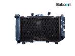 Radiateur Yamaha TDM 850 1996-2001 (TDM850 4TX), Gebruikt