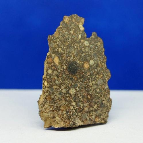 Slechts 49 g in de wereld - TYPE LL3 CHONDRIET METEORETH, Verzamelen, Mineralen en Fossielen