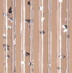 Vliegengordijn  -  Calisto (+kleuren) - 100x220 cm, Doe-het-zelf en Verbouw, Deuren en Horren, Nieuw