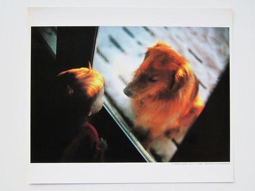 Sheryl Maree Reily - Child watches his dog at the window,, Antiek en Kunst, Kunst | Schilderijen | Modern