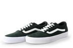 Vans Sneakers in maat 42 Groen | 10% extra korting, Kleding | Heren, Schoenen, Overige kleuren, Verzenden, Vans, Sneakers of Gympen