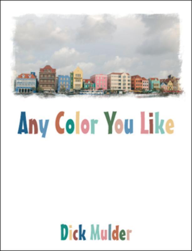 Any Color You Like 9789048401840 David Mulder, Boeken, Reisverhalen, Gelezen, Verzenden