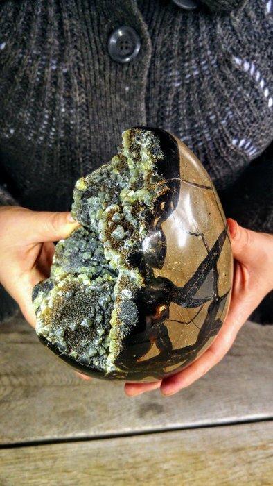 Grote zwarte fluwelen septarische ei met zeldzame, Verzamelen, Mineralen en Fossielen