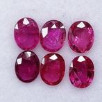 6 pcs Rood Robijn - 1.68 ct - Instituto Gemólogico Español, Sieraden, Tassen en Uiterlijk, Edelstenen, Nieuw