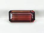 Oranje, Roze Toermalijn - 11.03 ct - Antwerp Laboratory for, Sieraden, Tassen en Uiterlijk, Nieuw
