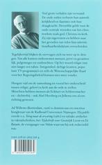 Religie na de grote verhalen 9789056252564 A. Willems, Verzenden, Gelezen, A. Willems