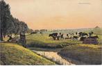MONNIKENDAM - Weidelandschap, Verzenden, Gelopen
