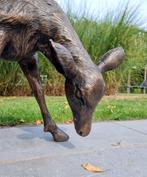 sculptuur, Levensecht hert - 43 cm - Brons, Antiek en Kunst