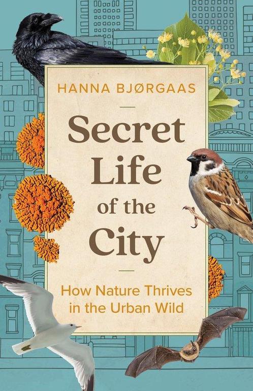 Secret Life of the City 9781771649353 Hanna Hagen Bjrgaas, Boeken, Taal | Engels, Zo goed als nieuw, Verzenden