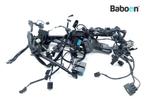 Kabelboom Triumph Street Triple 765 R 2017> (806646>, Motoren, Onderdelen | Overige, Verzenden, Gebruikt