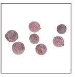 Pal Fruit Terra cotta 200gr Pal Fruit Terra cotta 200, Hobby en Vrije tijd, Knutselen, Ophalen of Verzenden, Nieuw