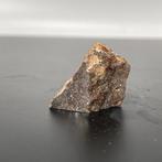 Gouden Bekken Historische meteoriet - 13.3 g, Verzamelen, Mineralen en Fossielen