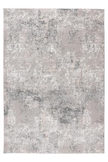 Modern Vloerkleed | Elif | Verweerd | Zilver | 200x290 cm beschikbaar voor biedingen