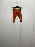 Wibra Broek / Oranje  / Maat 50, Kinderen en Baby's, Babykleding | Maat 50, Nieuw