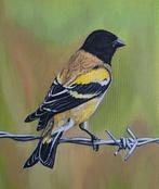 R.Benda(1953) - Sijsje in zijn natuurlijke omgeving, Antiek en Kunst, Kunst | Schilderijen | Klassiek