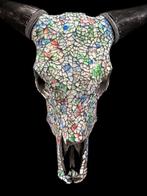 GEEN RESERVEPRIJS - Prachtige koe schedel met