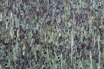 Kurk textiel - Stro Groen - 50 x 70 cm, Huis en Inrichting, Woonaccessoires | Overige, Nieuw, Ophalen of Verzenden