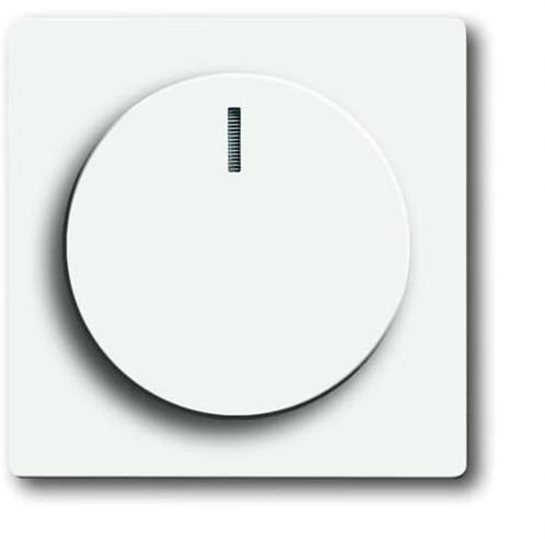 ABB Busch-Jaeger Toekomstig Schakelelement/Centrale Plaat -, Doe-het-zelf en Verbouw, Elektra en Kabels, Overige typen, Nieuw