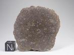 Meteoriet NWA 8167 Achondriet Ureiliet volledige snede -, Verzamelen, Mineralen en Fossielen