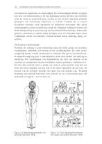 Productergonomie 9789065623591, Boeken, Zo goed als nieuw