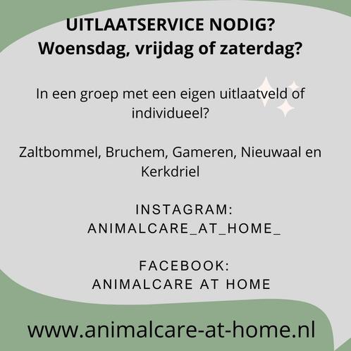 Uitlaatservice nodig? Zaltbommel en omgeving! Ook Kerkdriel!, Diensten en Vakmensen, Dieren | Honden | Verzorging, Oppas en Les