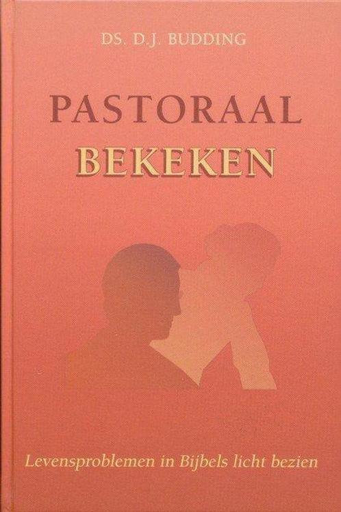 Pastoraal bekeken 9789033115400 D.J. Budding, Boeken, Godsdienst en Theologie, Zo goed als nieuw, Verzenden