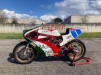 Ducati - TT1 - 750 cc - 1984, Motoren