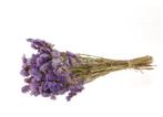 Statice sinuata natural Milka   Lamsoor Milka +/- 70cm, Ophalen of Verzenden, Nieuw