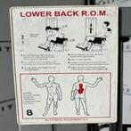 Technogym - Isotonic - Lower Back R.o.m., Ophalen of Verzenden, Nieuw, Overige typen
